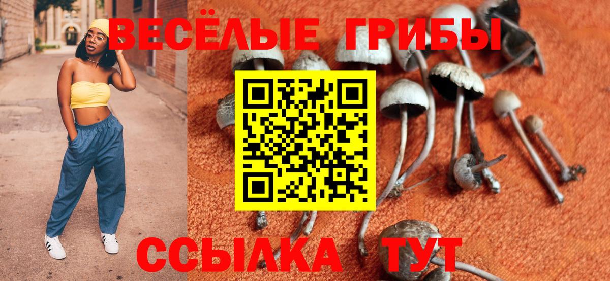 Псилоцибиновые грибы мицелий Биробиджан