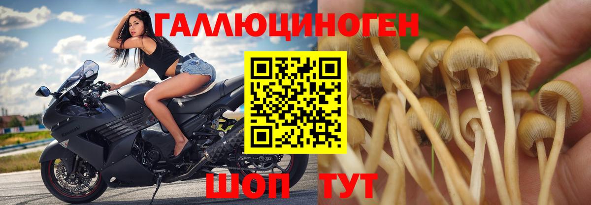 Биробиджан  Галлюциногенные грибы MAGIC MUSHROOMS  Галлюциногенные грибы прущие грибы  Вход с VPN 